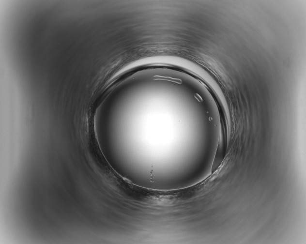 X0000096480120200801241452