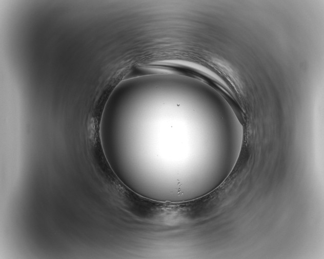 X0000096480121200801241452