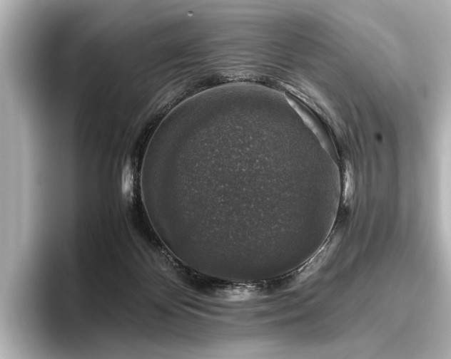 X0000096480124200801241452