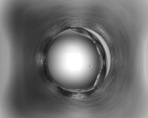 X0000096480125200801241452