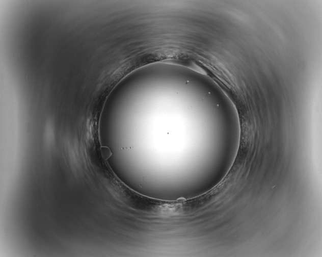 X0000096480126200801241452