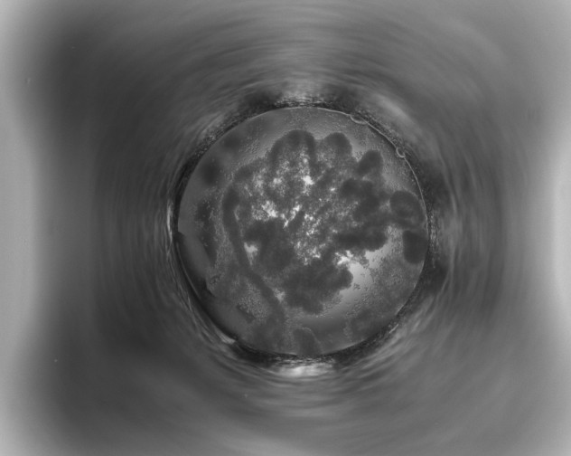 X0000096480127200801241452