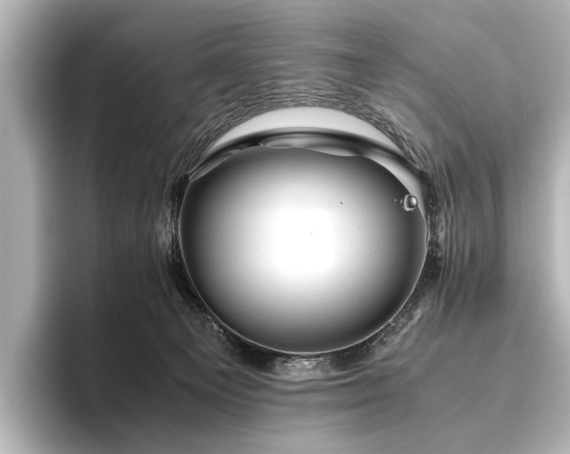 X0000096480129200801241452