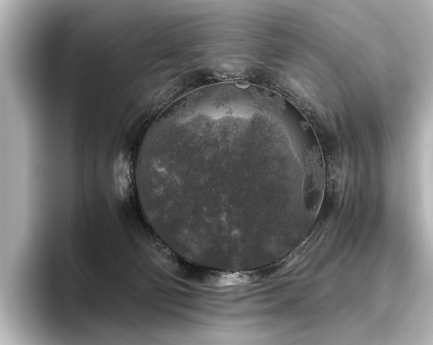 X0000096480130200801241452