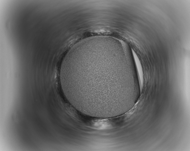 X0000096480132200801241452