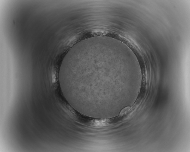 X0000096480134200801241452