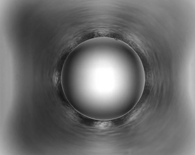 X0000096480135200801241452