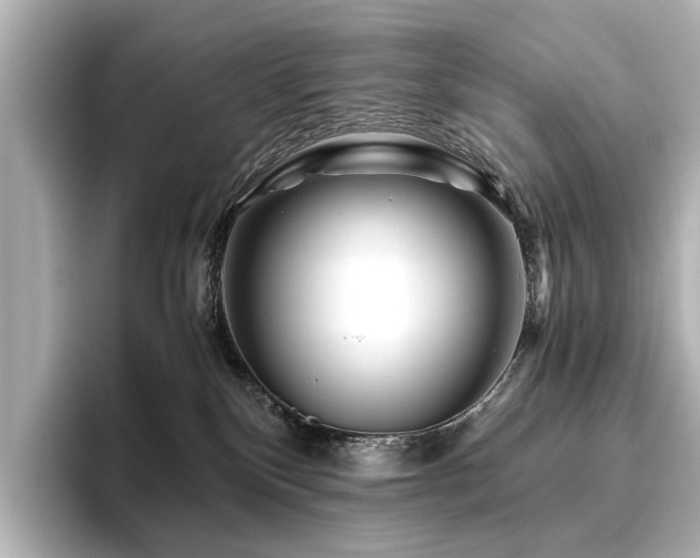 X0000096480136200801241452