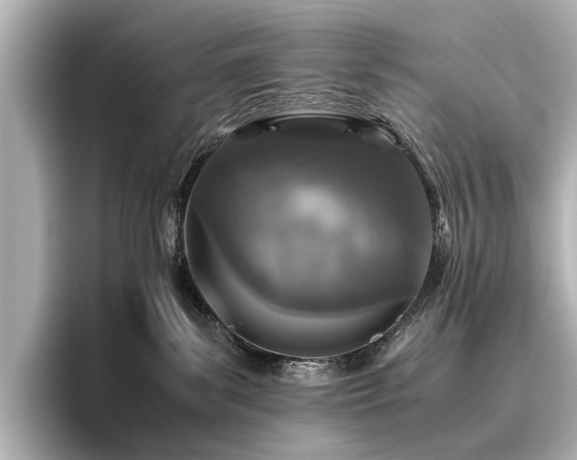 X0000096480139200801241452