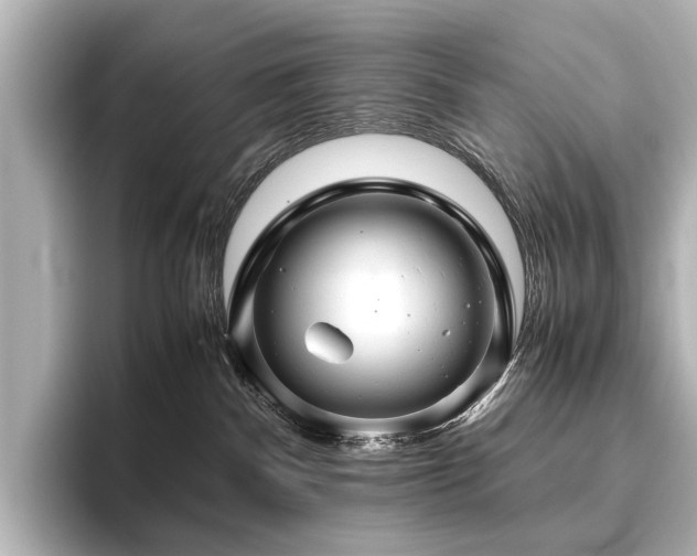 X0000096480140200801241452