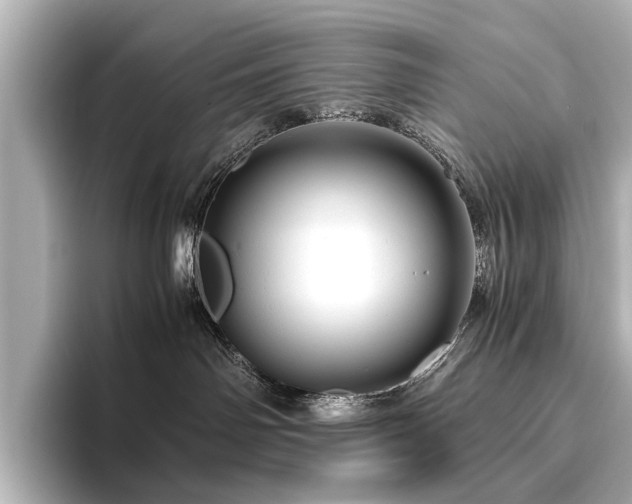 X0000096480142200801241452