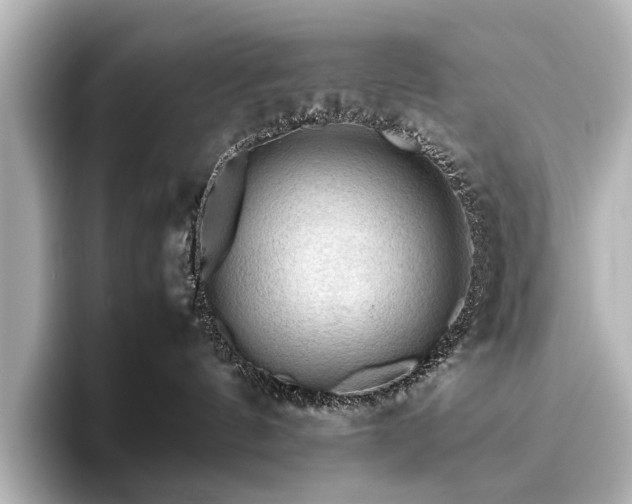 X0000096480144200801241452