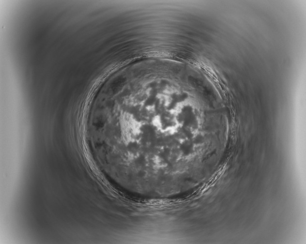 X0000096480145200801241451