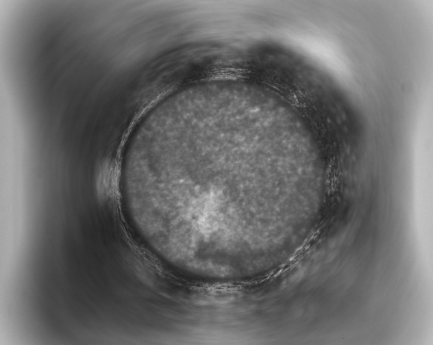 X0000096480146200801241451