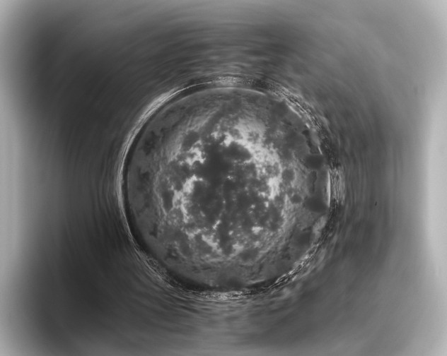 X0000096480147200801241451