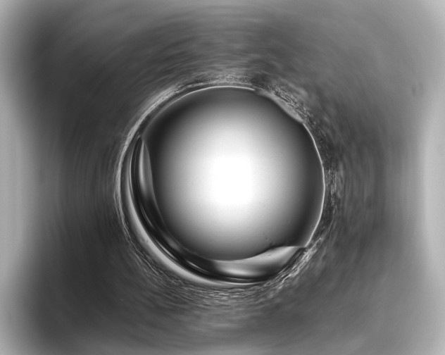 X0000096480148200801241451