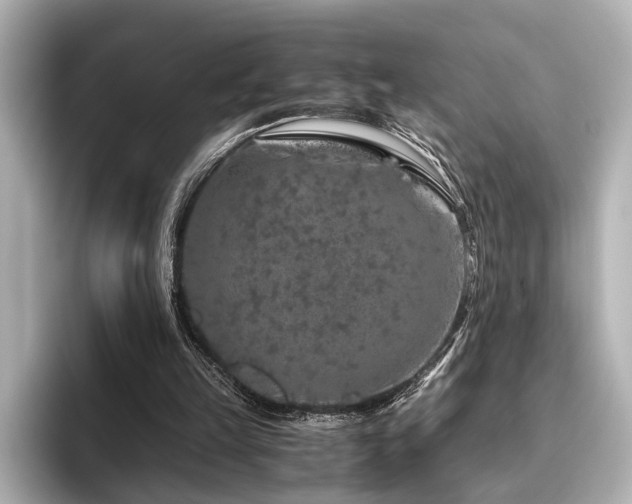 X0000096480149200801241451