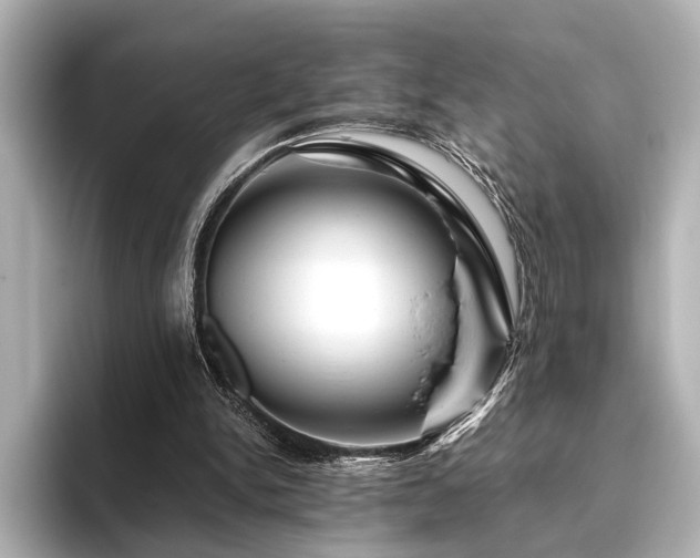 X0000096480150200801241451