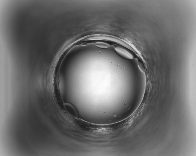 X0000096480151200801241451