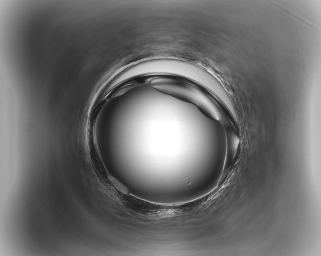 X0000096480152200801241451