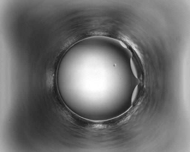 X0000096480153200801241451