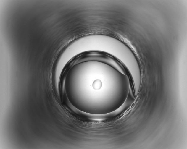 X0000096480154200801241451