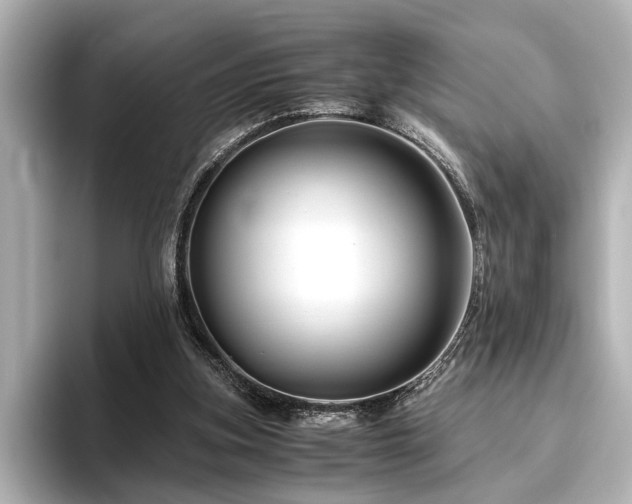 X0000096480155200801241451