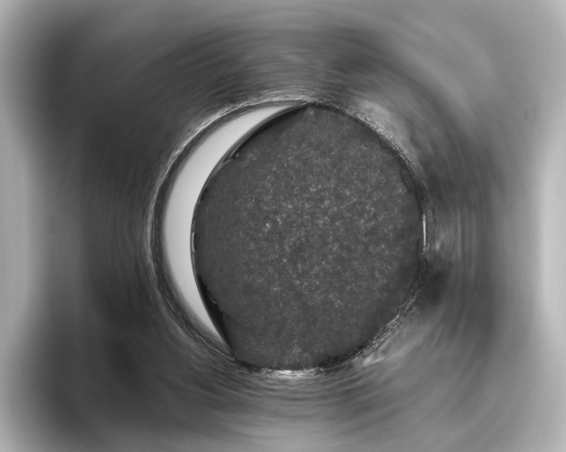 X0000096480156200801241451