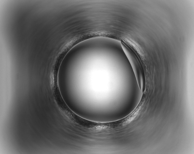 X0000096480158200801241451