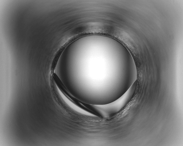 X0000096480160200801241451