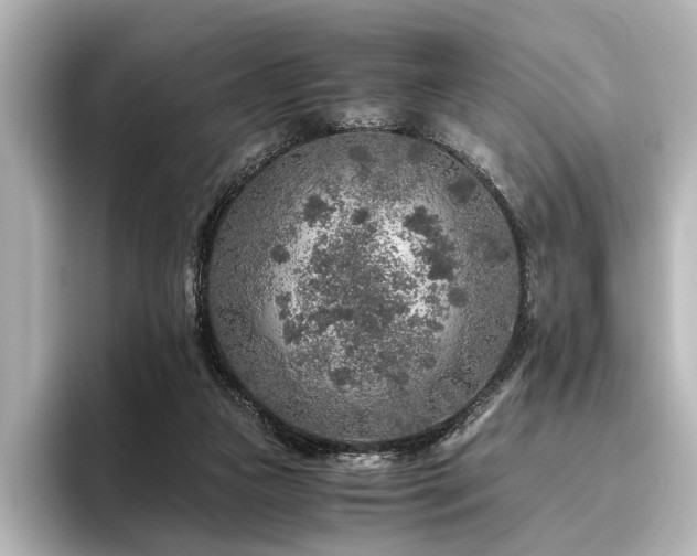 X0000096480161200801241451