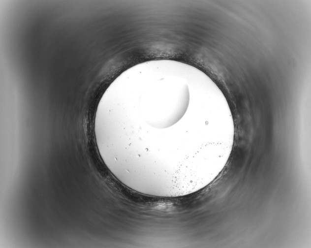 X0000096480162200801241451