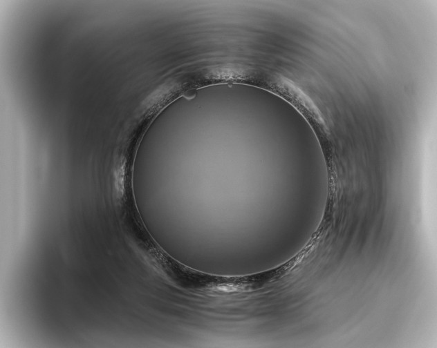 X0000096480163200801241451