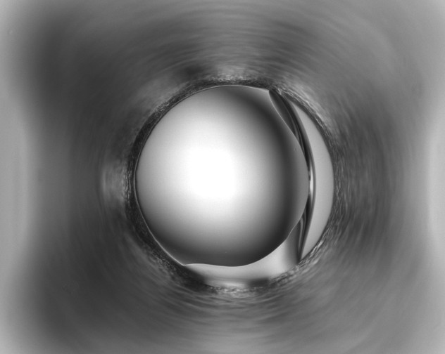 X0000096480164200801241451