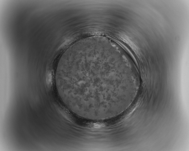 X0000096480165200801241451