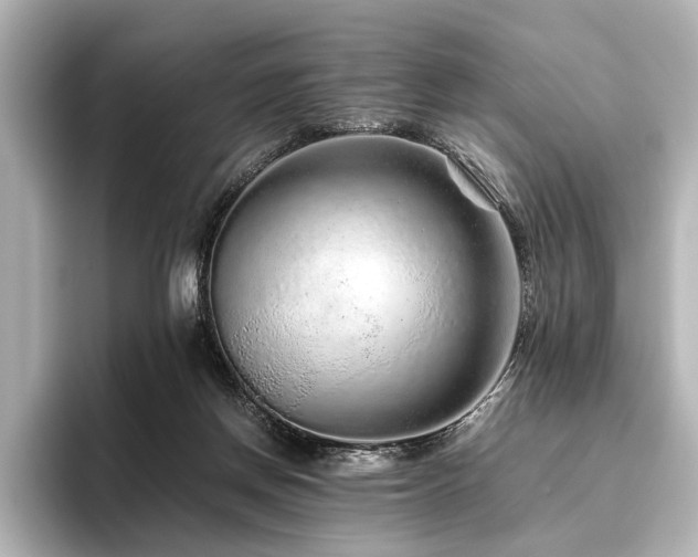 X0000096480166200801241451