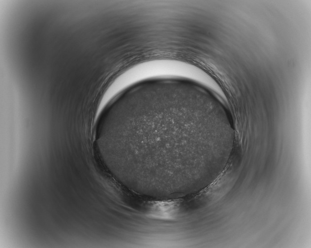 X0000096480168200801241451