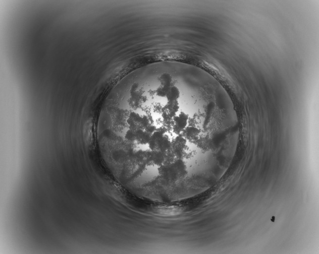 X0000096480169200801241451