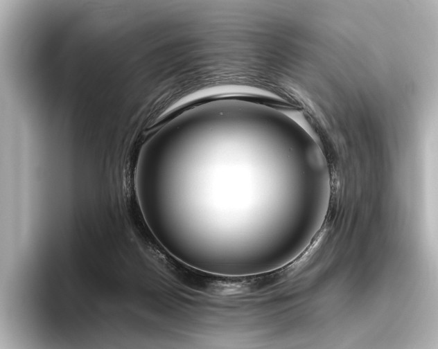 X0000096480170200801241451