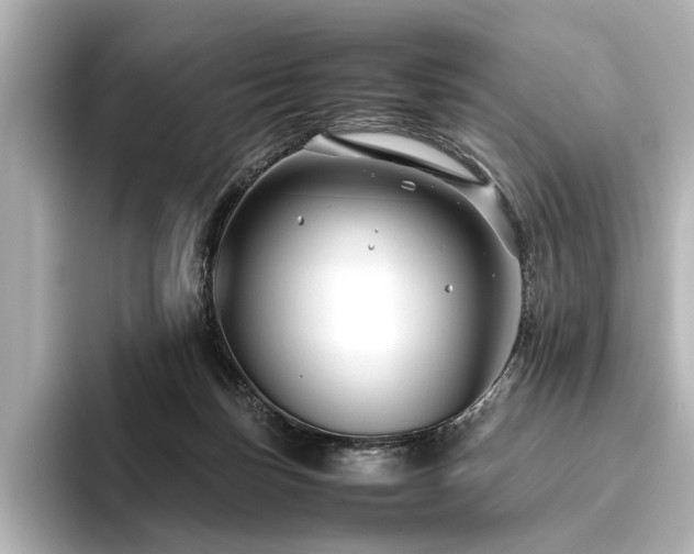 X0000096480171200801241451