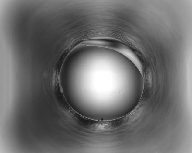 X0000096480172200801241451