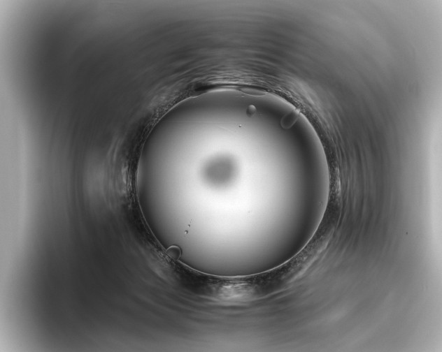 X0000096480173200801241451