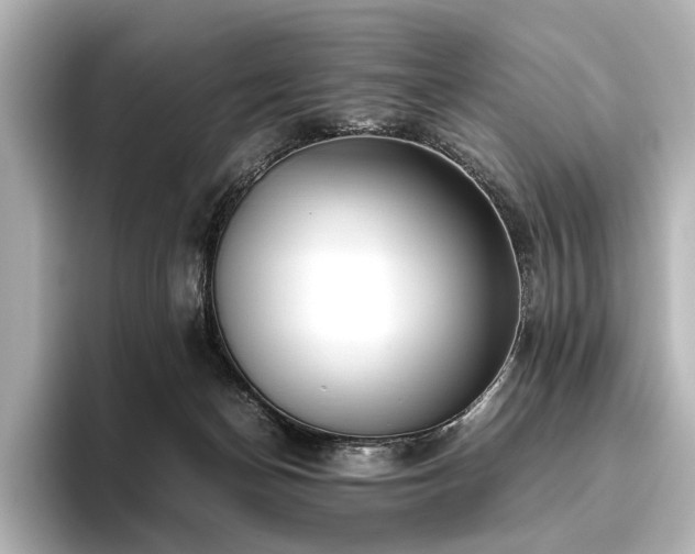 X0000096480174200801241451