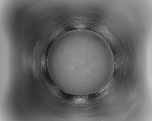 X0000096480175200801241451