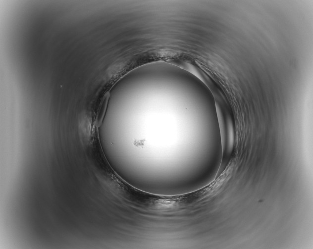 X0000096480176200801241451