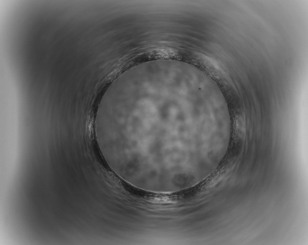 X0000096480177200801241451