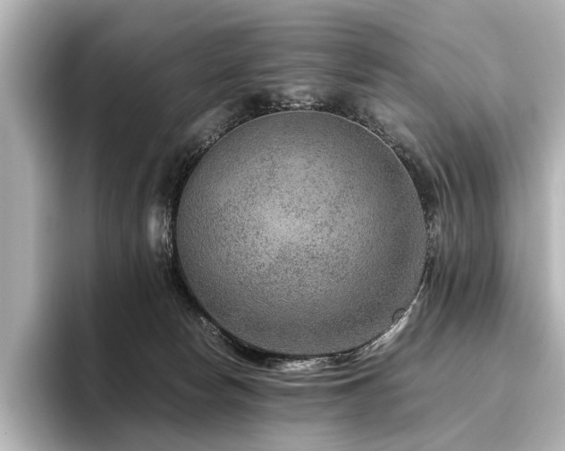 X0000096480178200801241451