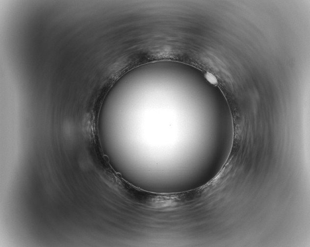 X0000096480179200801241451