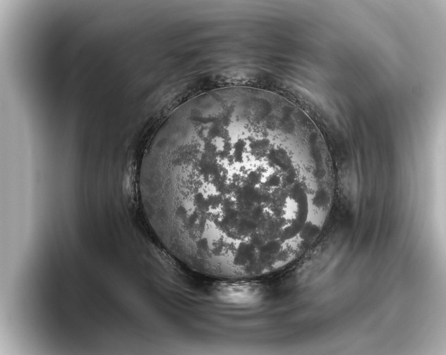 X0000096480181200801241452