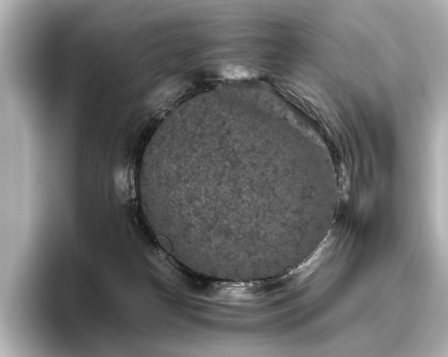 X0000096480182200801241452